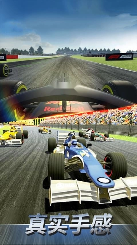 F1赛车模拟3D手游无广告版图1