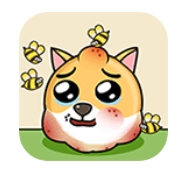 我的狗狗