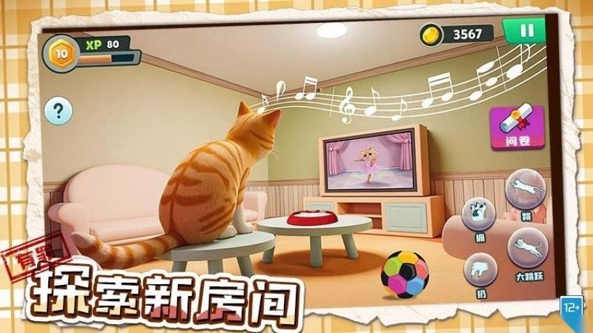 坏猫大作战游戏(4)