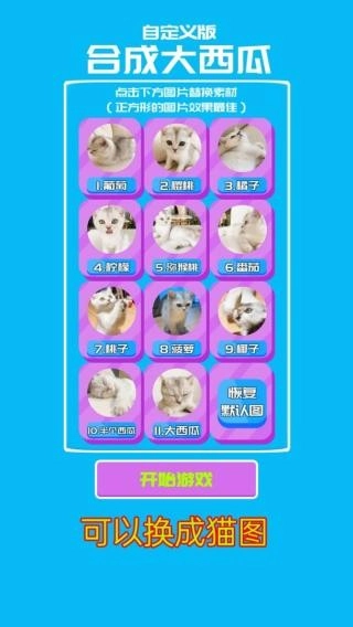 合成大西瓜安卓免费版图1