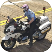 狂野暴力摩托车游戏