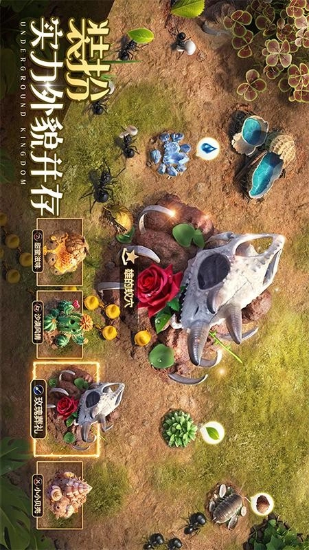 小小蚁国游戏(1)