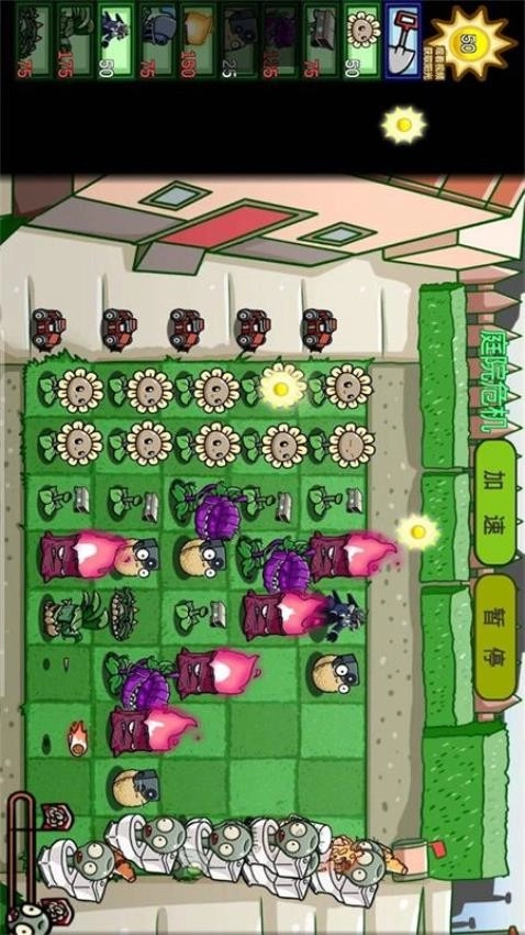 植物防御僵尸王(2)