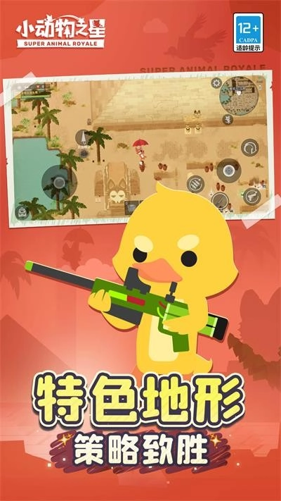 小動(dòng)物之星游戲圖1