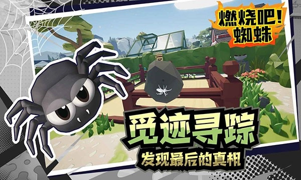燃烧吧蜘蛛游戏图3