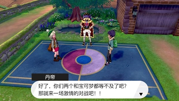 宝可梦剑盾游戏图2
