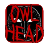 猫头鹰之头游戏正版