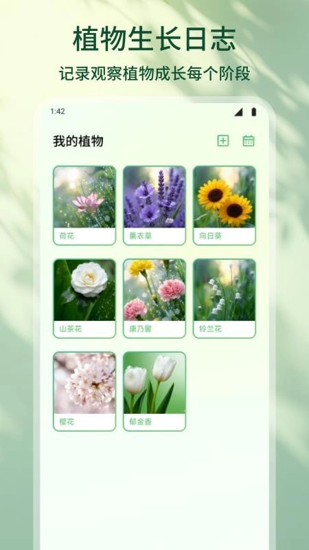 花朵物语图3
