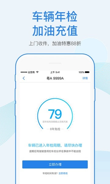车行易查违章图4