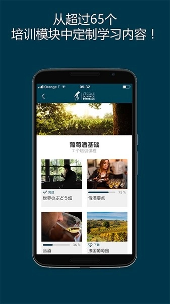 掌上波尔多(1)