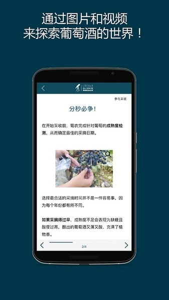掌上波尔多(5)