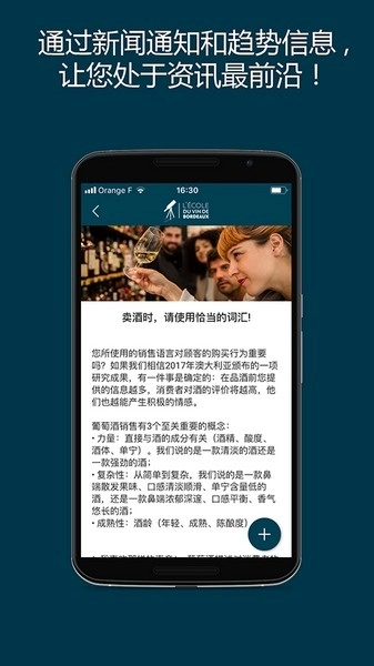 掌上波尔多(3)