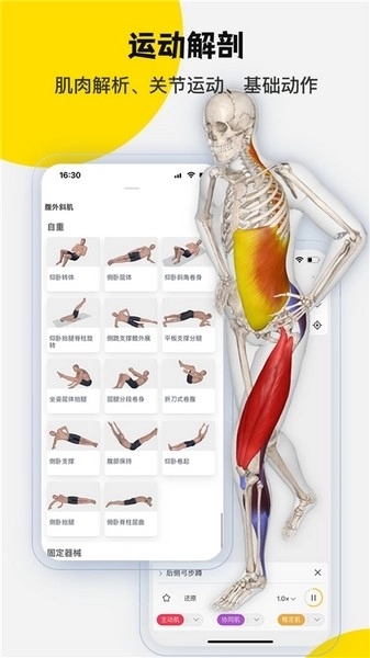 3Dbody解剖(2)