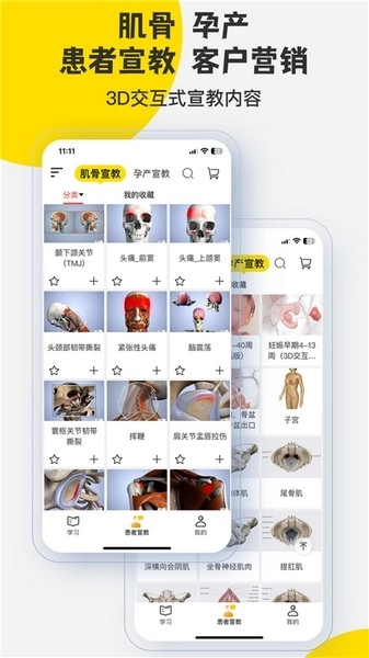 3Dbody解剖(1)