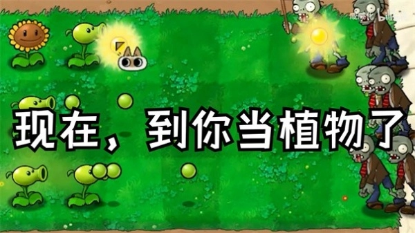 植物大战僵尸(3)