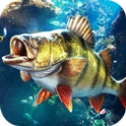 欢乐钓鱼大师电脑版