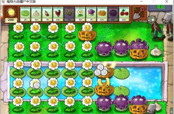 植物大战僵尸1老版图6
