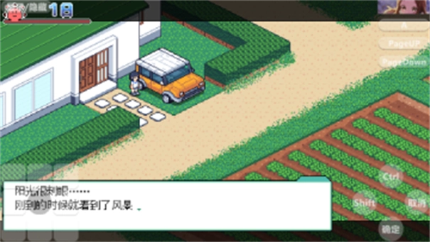 寻找夏日的宝物截图2