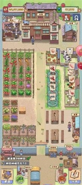 王大爷的小院图4