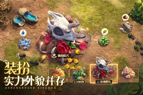 小小蚁国国际服图2