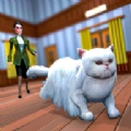 虚拟养猫（CAT&amp;MAID）