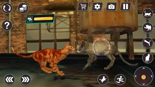 貓咪格斗戰爭模擬器(CatFightingBattleSimulator)