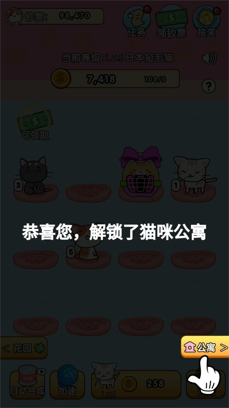 我的小猫(3)