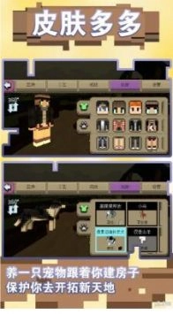 超级梦想家园2