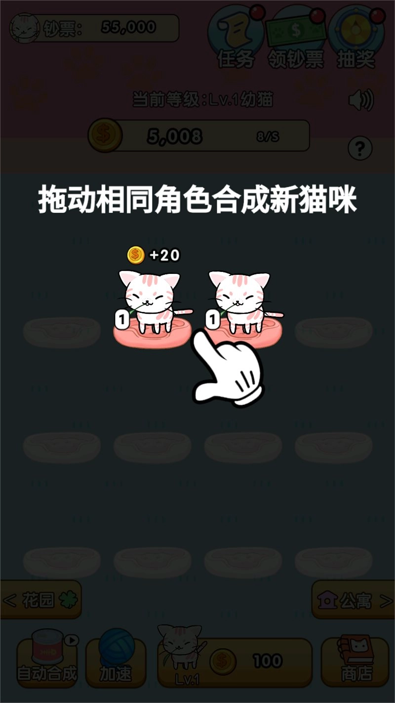 我的小猫(9)