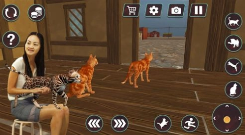 貓咪格斗戰爭模擬器(CatFightingBattleSimulator)