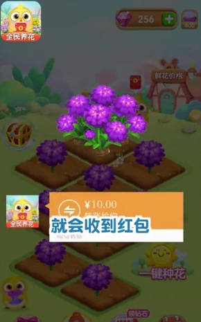 全民养花红包版