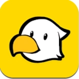 小鸡的追逐汉化版