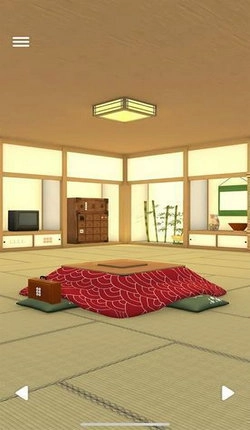 京都（Kyoto）图3