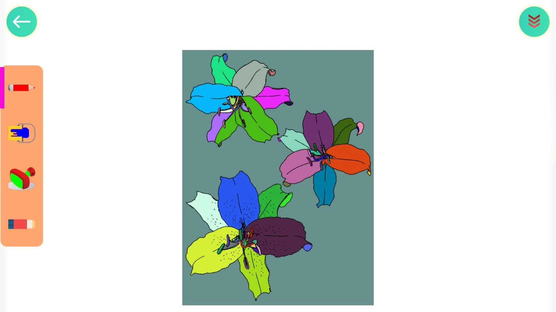 植物涂色世界HD