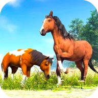 养马模拟器 1.42