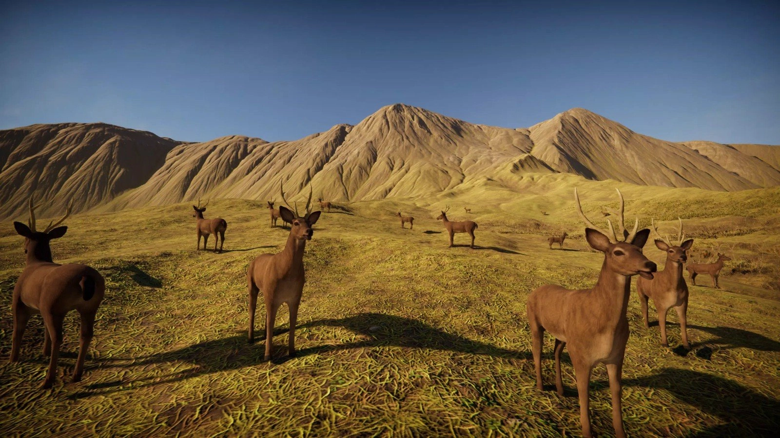 猎鹿森林奔跑(Deer simulator)