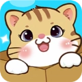 猫咪请就位