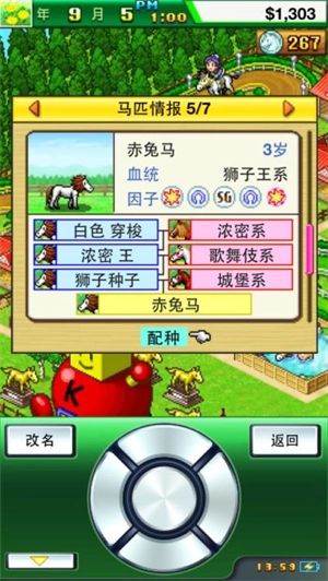 顶级跑马牧场中文版