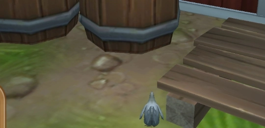 一只特立独行的鸡图1