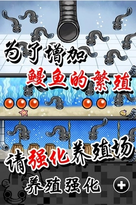 鳗鱼养殖场图2