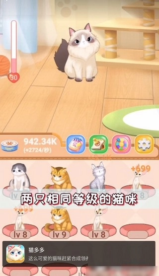 猫多多(2)