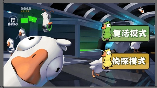 goose(1)