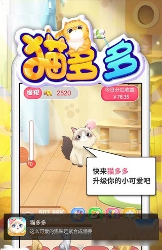 猫多多(1)