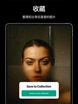 Pexels安卓版图4