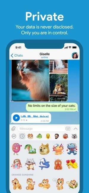 telegram2026手机最新版图2