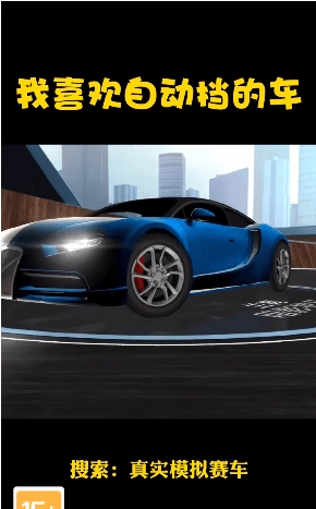 真实模拟赛车游戏正版