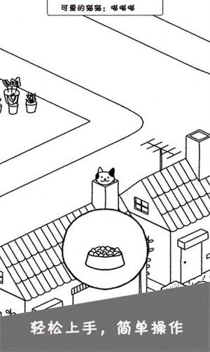 猫咪公社(3)