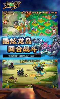 龙之岛(2)