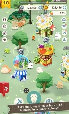 兔子未免也太可爱了