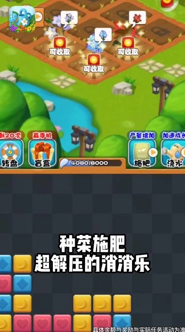 我的小院图3